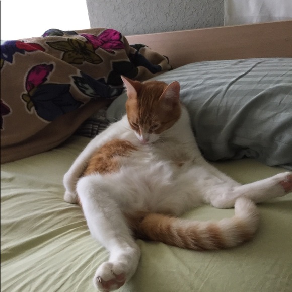 Meet your Posher, Minh - Picture 1 of 1